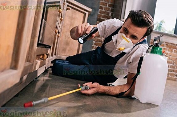 افشای راز مرگ هولناک چند کودک پس از سم پاشی