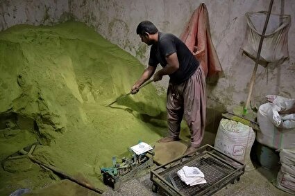 آیین کهن «حنا سابی» در یزد /تصاویر