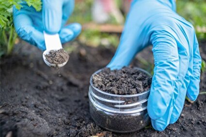 کشف آنتی‌بیوتیکی قدرتمند برای نابودی مقاوم‌ترین باکتری‌ها