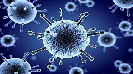 آغاز پیک بیماری‌های تنفسی با گردش ویروس سرماخوردگی