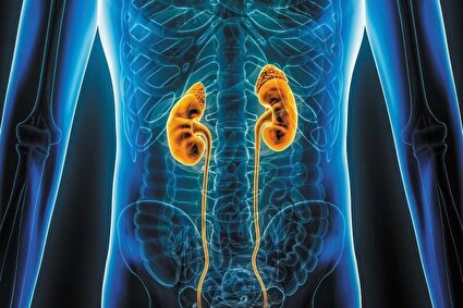 افزایش دو برابری مرگ و میر بیماران کلیوی کانادا