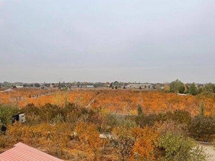 پاییز خشک باغ های کرج/فیلم اختصاصی