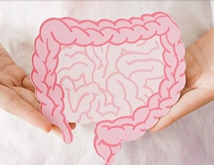 نقش میکروبیوم روده در تشدید یا بهبود علائم یائسگی