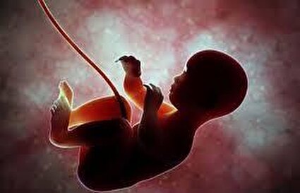 جنین؛ انسان مظلوم/فیلم