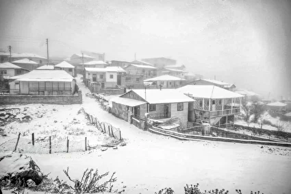 بارش برف پاییزی در روستاهای کوهستانی سوادکوه /تصاویر