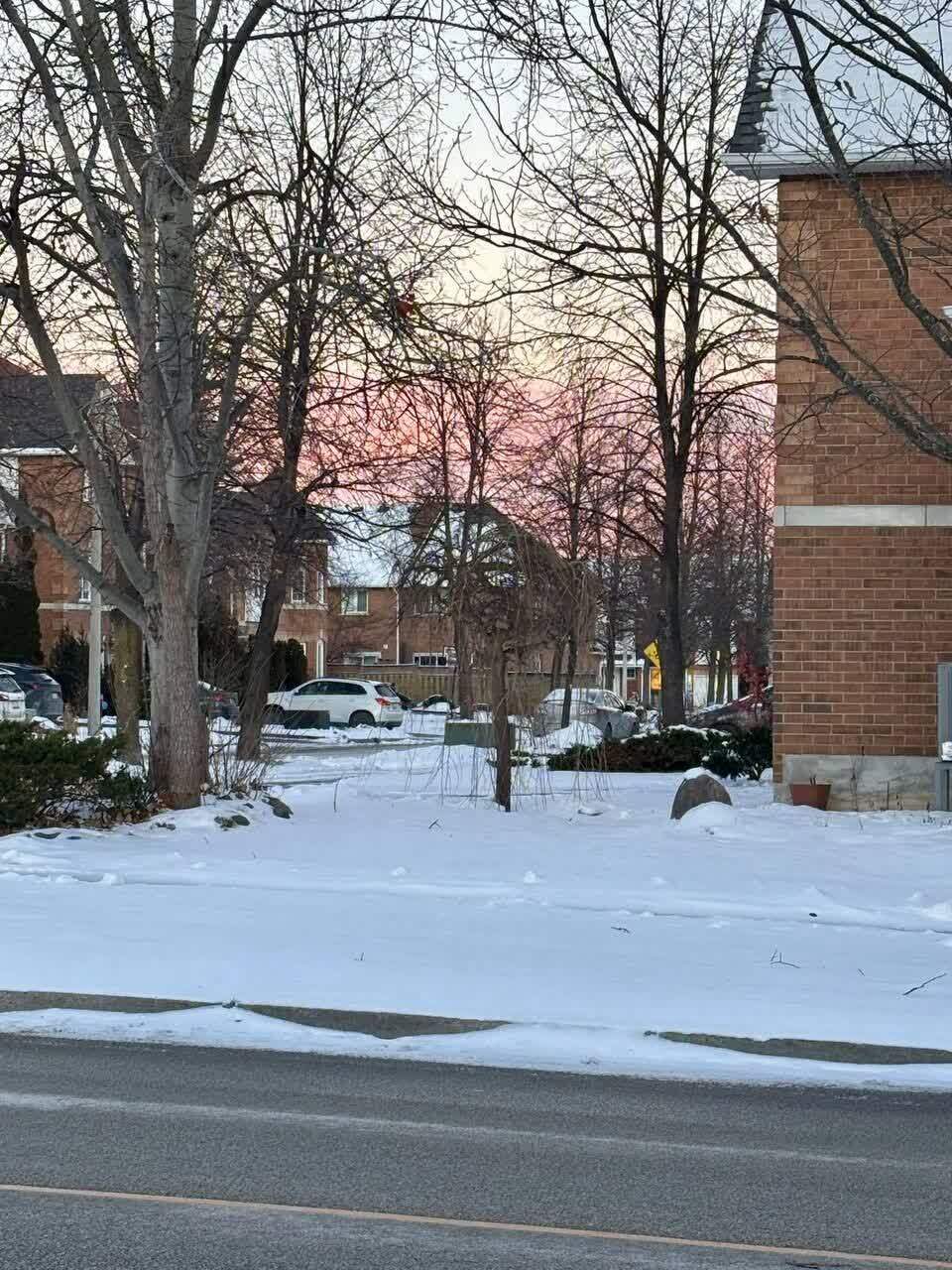 بارش برف پاییزی در تورنتو ی کانادا/تصاویراختصاصی