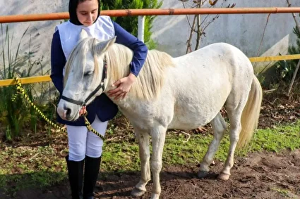 جشنواره زیبایی اسب کاسپین در انزلی /تصاویر