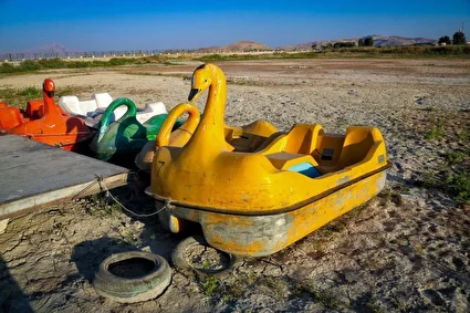 مرگ نیلوفرِ کرمانشاه /تصاویر