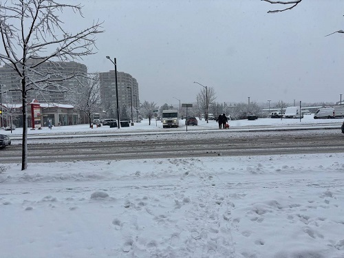 بارش برف در تورنتو/تصاویر اختصاصی