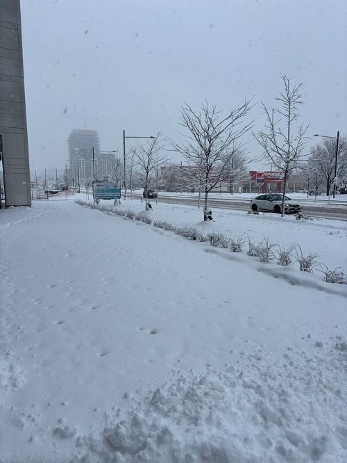 بارش برف در تورنتو/تصاویر اختصاصی