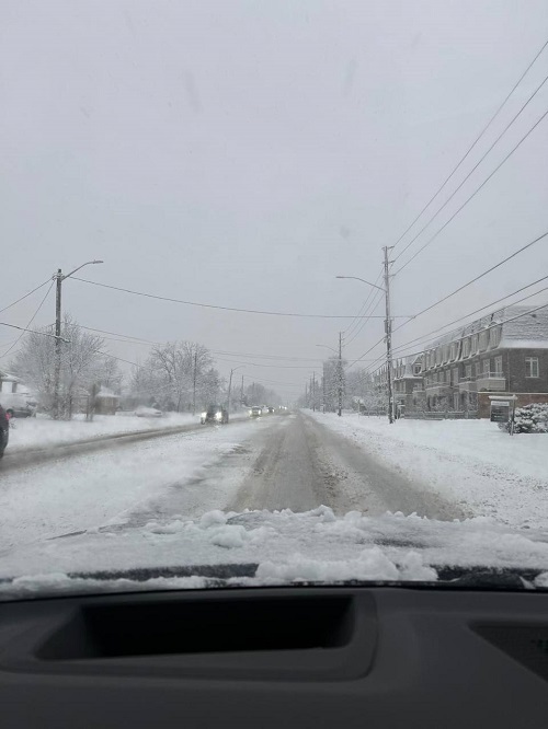 بارش برف در تورنتو/تصاویر اختصاصی