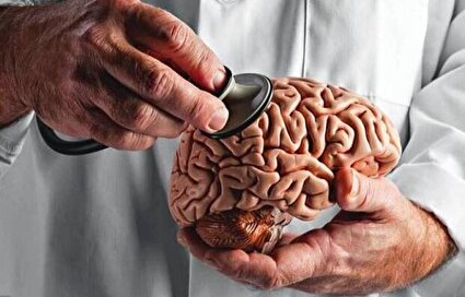 مغز جوان‌تر می‌خواهید؟