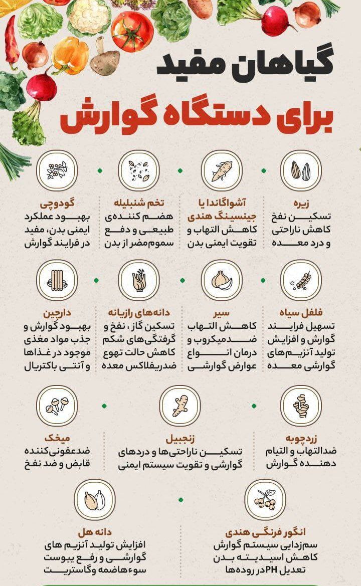 هضم‌کننده‌های طبیعی /اینفوگرافیک