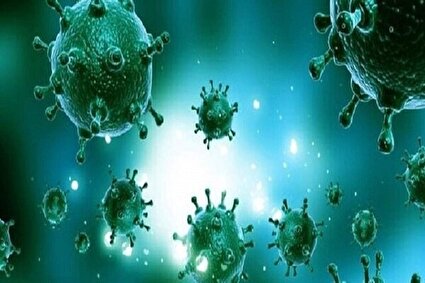 پنجمین فوتی آنفلوآنزا در هرمزگان