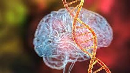 کشف اولین ژن عامل مستقیم بیماری‌های روانی