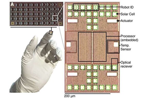 ربات‌های میکرونی هوشمند، جراحان آینده در درون بدن انسان