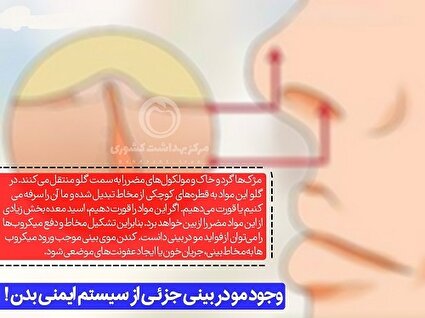وجود مو در بینی جزئی از سیستم ایمنی بدن !