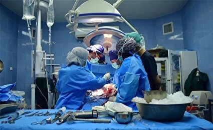 ایران، پیشرو عمل پیوند در جهان یکه‌تــاز در منطقــــه