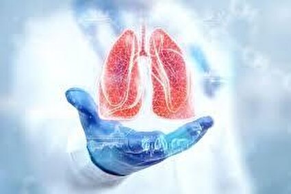 چکاپ منظم؛ راهکار طلایی پیشگیری از بیماری‌های کلیوی