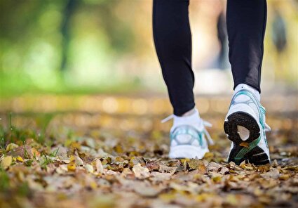 راهکار کاهش ۴۵ درصدی خطر زوال عقل