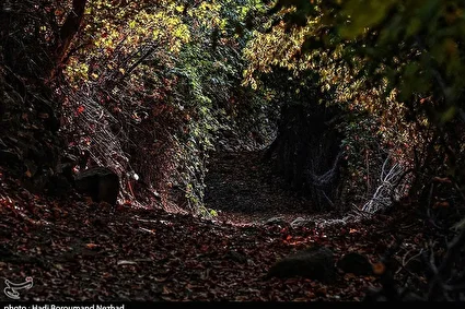 طبیعت پاییزی قره داغ /تصاویر