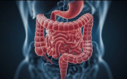 شیوع مشکلات گوارشی در دوران یائسگی