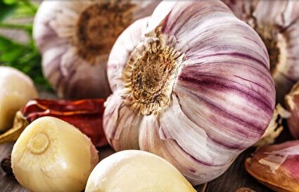 سیر باعث لاغری می‌شود؟