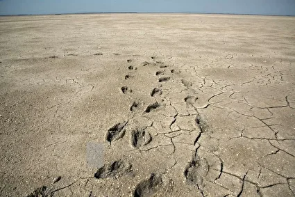 آخرین نفس‌های بزرگ‌ترین خلیج خزر /تصاویر